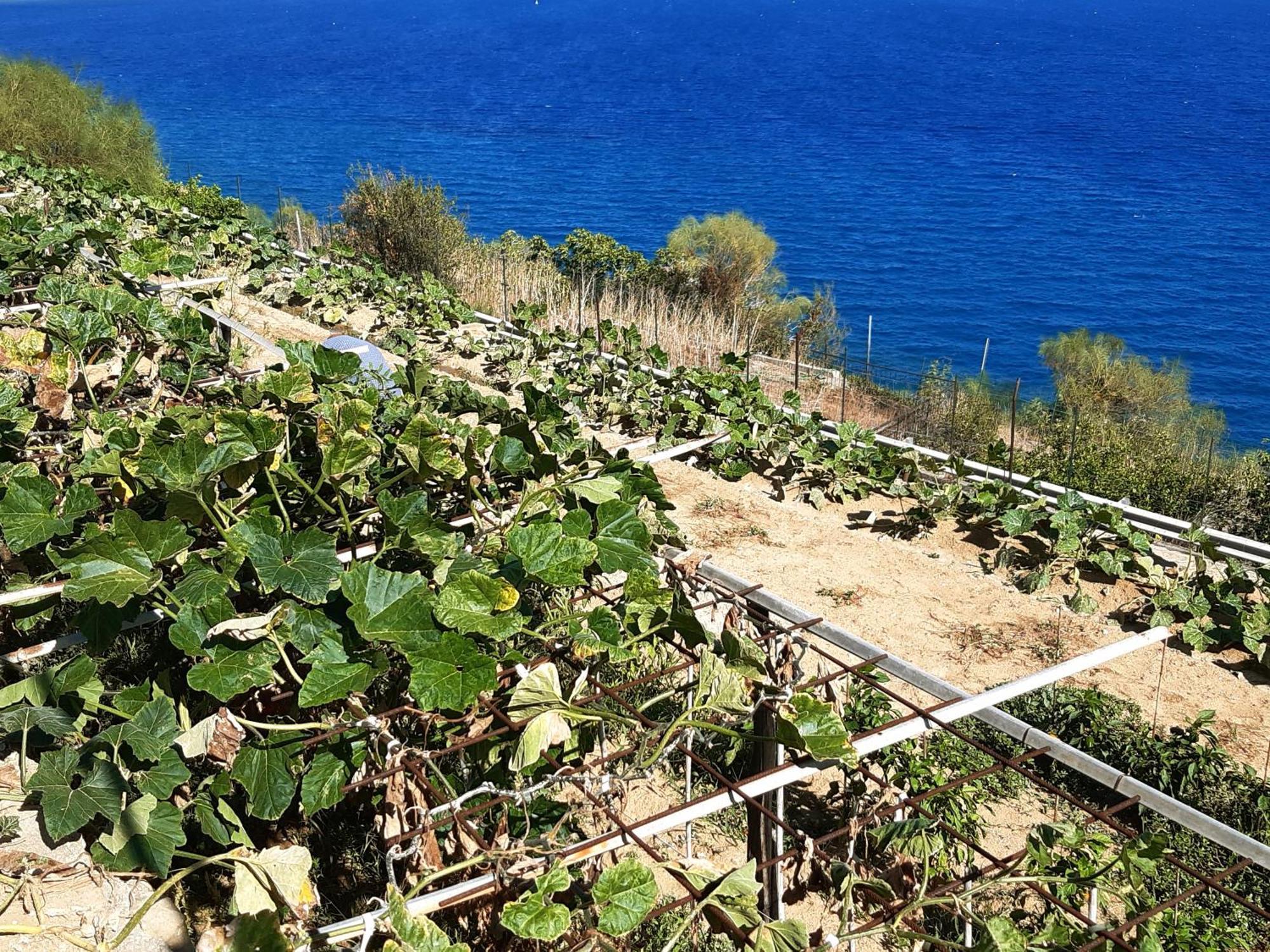 Apartament Gli Orti Sul Mare 2 Vista Mare Bordighera Zewnętrze zdjęcie
